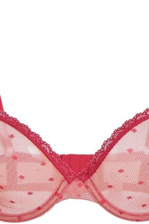 Women's Sexy Sheer Mesh See Through Bra Non Padded Unlined Lace Bralette Underwire Bras