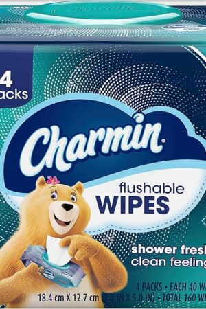 Charmin Flushable Wipes, 160 Total Wipes (4 Packs of 40)