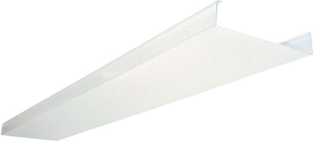 Lithonia Lighting 48 In. Square Basket Two Bulb Replacement Wraparound Lens DSB48