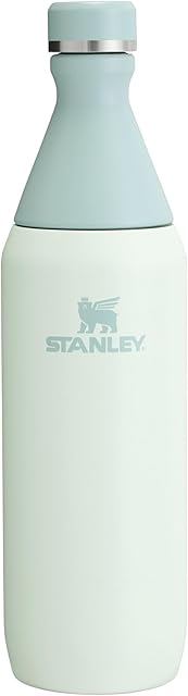 Stanley All Day Slim Bottle 20 oz | Leakproof Twist on Lid | Slim Design for Travel and Gym | Insulated Stainless Steel Water Bottle | BPA-Free | Mist