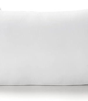 Acanva Polyester Decorative Rectangle Throw Pillow Inserts, Hypoallergenic Form Stuffer Cushion Sham Filler, 16x26, White, 1 Count (Pack of 1)