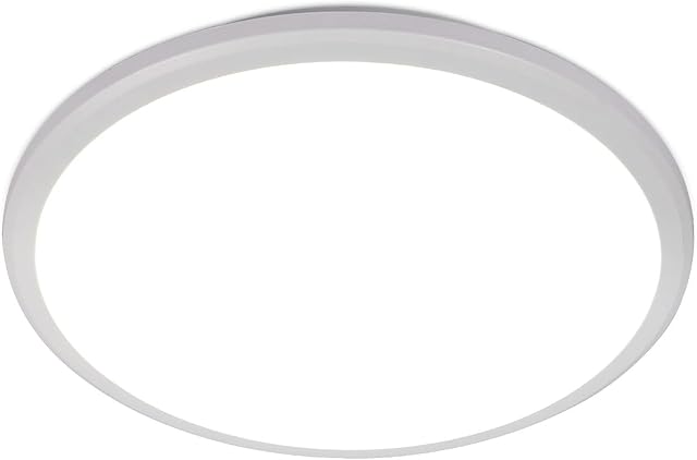 DELIPOP 12 Inch Ceiling Light, 24W Surface Flat LED Ceiling Light for Indoor/Outdoor, IP54 Waterproof Round Ceiling Light Fixture for Bathroom, Bedroom, Kitchen, Hallway, Balcony