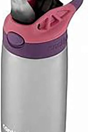 Contigo AUTOSPOUT Camping Hydration Thermal Bottle 1 Count (Pack of 1) Eggplant & Punch