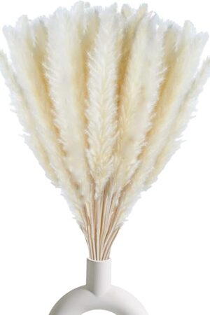 30 Pcs White Pampas Grass ,17 inch/45 cm Natural Dried Pampas Grass Branches Decor for Home Kitchen Garden Party Photographing Flower Arrangement Vase Decor（White
