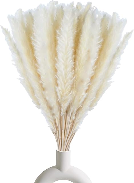 30 Pcs White Pampas Grass ,17 inch/45 cm Natural Dried Pampas Grass Branches Decor for Home Kitchen Garden Party Photographing Flower Arrangement Vase Decor(White