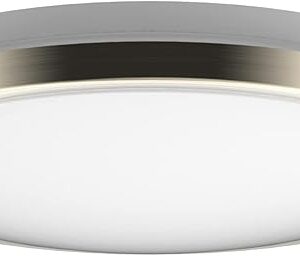 DYMOND LED Ceiling Light Flush Mount 10 Inches 4000K Natural Daylight