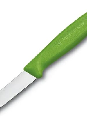 Victorinox 3.25 Inch Swiss Classic Paring Knife with Straight Edge, Spear Point, Green