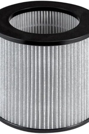 Bissell Replacement High Efficiency and Carbon Filter for The MyAir Personal Air Purifier, 2801