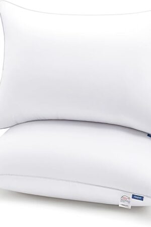 CozyLux Pillows Queen Size Set of 2, Hotel Quality Bed Pillows for Sleeping 2 Pack, Cooling Pillows for Side Back and Stomach Sleepers, Down Alternative Luxury Soft Supportive Fluffy Pillows (18x28)