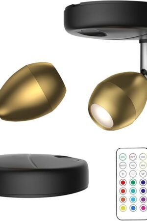 2Pack Battery Operated Spotlight,LED Wall Picture Light with Remote,Wireless Picture Lights for Wall,Timer&Dimmable Accent Light,Display Art Light for Dartboard Painting Artwork Gallery Portrait
