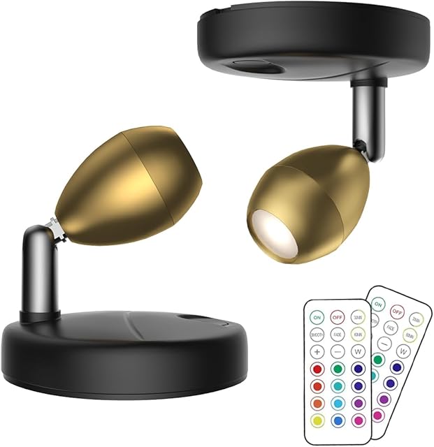2Pack Battery Operated Spotlight,LED Wall Picture Light with Remote,Wireless Picture Lights for Wall,Timer&Dimmable Accent Light,Display Art Light for Dartboard Painting Artwork Gallery Portrait
