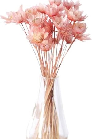 The Pink Mini Flower Vase, 1/12 Scale Miniature Dollhouse Accessories Decor, Doll House Mini Flower Bowl Elegant Decoration for DIY Mini Scene