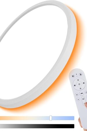12 Inch LED Flush Mount Ceiling Light Fixture with Remote Control, Dimmable 2000K Warm Night Light for Bedroom, 24W 3000K-6500K Color Adjustable Ceiling Lamp for Living Room, Hallway, Memory Function