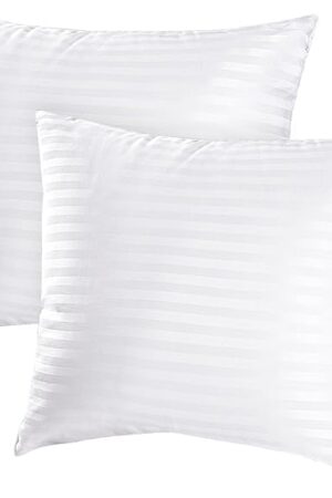 EIUE Throw Pillow Inserts, Machine Washable Pillows,Premium Polyester Fiber Fill for Sofa Bed & Decorative Cushions (White, 20x20inch)