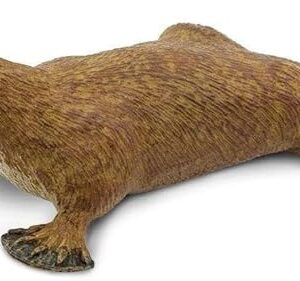 The Safari Ltd. Platypus Figurine - Detailed 4.75" Plastic Model Figure - Fun Educational Play Toy for Boys, Girls & Kids Ages 3+
