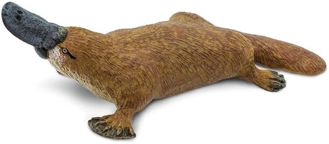 The Safari Ltd. Platypus Figurine - Detailed 4.75" Plastic Model Figure - Fun Educational Play Toy for Boys, Girls & Kids Ages 3+