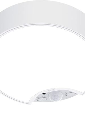 BLS Motion Sensor Ceiling Light with Remote, Battery Operated Lighting, 120 LED Closet Lights Motion Activated, Wireless Lamp for Shed Laundry Stairs Garage Bathroom Shower Porch 400 LM