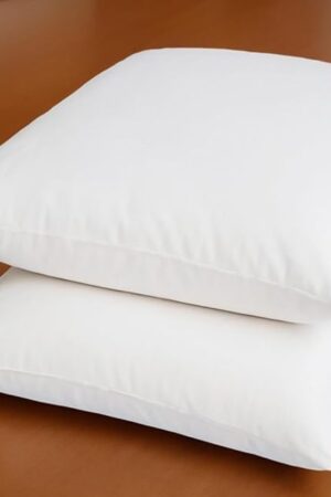 18 x 18 Inches Throw Pillow Inserts Set of 2 Decorative Down Alternative Pillow Filler for Cushion Covers