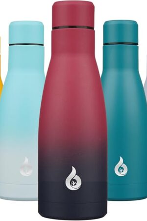 BJPKPK Insulated Water Bottle 12oz Small Stainless Steel Water Bottles Reusable Metal Thermos Keep Cold and Hot,Charming Black Red