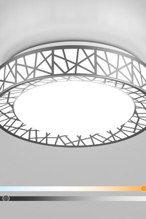 12 Inch Flush Mount Ceiling Light Modern 20W 2700-6500K