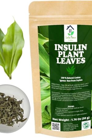 Dried Insulin Plant Leaves 1.76 oz (50g) Natural Costus Igneus Herbal Tea