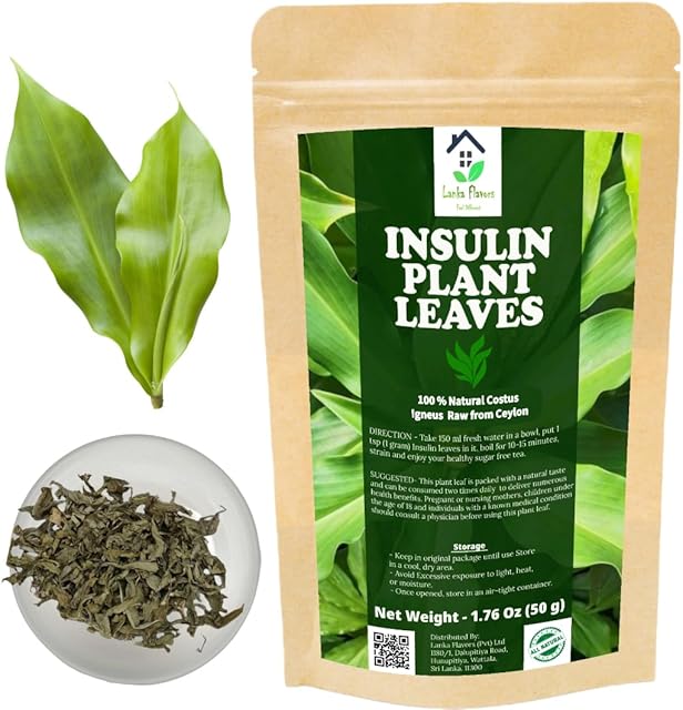 Dried Insulin Plant Leaves 1.76 oz (50g) Natural Costus Igneus Herbal Tea