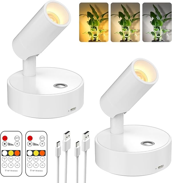 Olafus LED Wireless Spotlight Indoor, Rechargeable Battery Uplighting Indoor with Remote & Timer, 3CCT Picture Lights for Wall, Mini Art Accent Light for Plants Artwork Painting, 2 Pack
