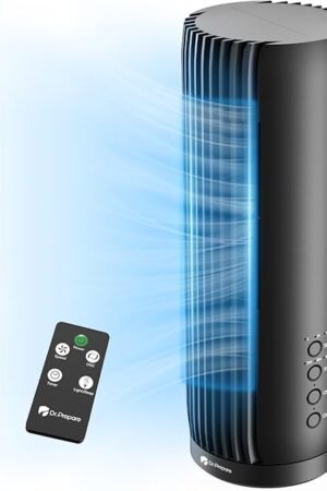 DR.PREPARE Desk Fans for Bedroom, 12 Inch Portable Table Fan, 28 dB Quiet Fan with Remote, 3 Speeds, 60° Oscillation & 12H Timer for Office, Bedroom, Desktop,Black
