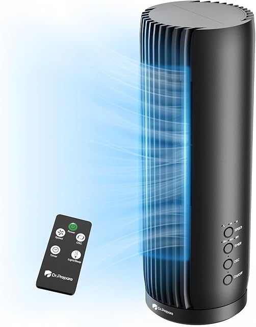 DR.PREPARE Desk Fans for Bedroom, 12 Inch Portable Table Fan, 28 dB Quiet Fan with Remote, 3 Speeds, 60° Oscillation & 12H Timer for Office, Bedroom, Desktop,Black