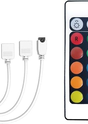 DAYBETTER Updated Bluetooth Remote Control for RGB LED Light Strips, 2 Ports 24 Key 4 Pin Output Dimmable LED Strip Lights Voltage DC 12V(Without Power Adapter)