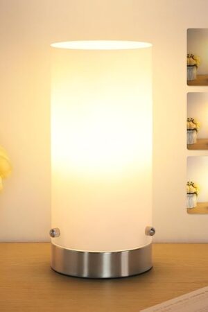 Bedside Table Lamp for Bedroom, 3 Way Dimmable Touch Control Table Lamps for Nightstand, Modern Desk Lamp with Glass Lamp Shape, 2700K 6W Bulb Included(Nickel).