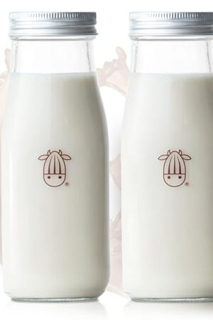 Almond Cow 300ml Glass Jar with Rust-Resistant Aluminum Cap - Reusable, Eco-Friendly Storage for Plant-Based Milk, Creamers, Wellness Shots, and Ingredients - Minimalist, Vintage-Inspired Design