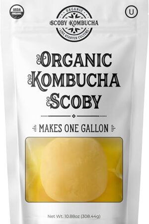 1 X Organic Kombucha Scoby - Live Culture by Scoby Kombucha