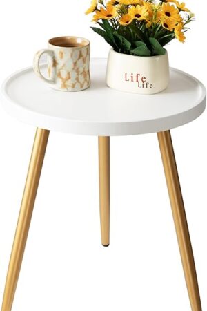 DANPINERA Small Round Side Table Metal Legged Round End Table White & Gold