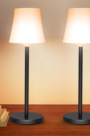 Cordless Table Lamp Rechargeable 2 Pack Wireless Touch Light Battery Operated 3 Color & RGB Stepless Dimmable Portable Led Waterproof Small Lamps for Kichen/Dining/Outdoor/Patio/Restaurant