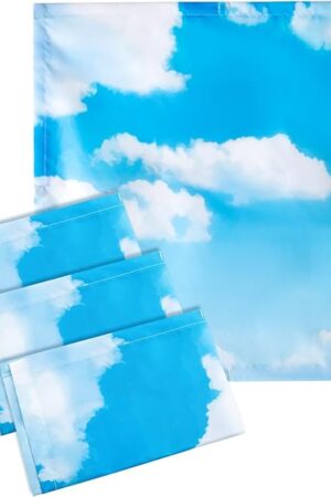 VIHOSE 4 Pcs 2 x 2 Feet Fluorescent Light Covers for Ceiling Lights Classroom Magnetic Light Filters for Reducing Harsh Glare Flicker for Office Classroom Home Drop Ceiling(Sky Cloud)