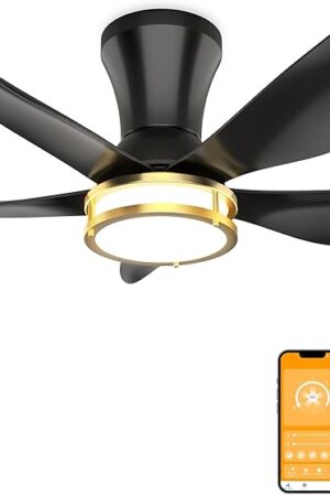 DAMINY 30 Inch Black and Gold 5 Blade Ceiling Fan with Light, Modern Ceiling Fan with Remote,Large Airflow,Flush Mount,6CCT,Dimmable,Noiseless,Bedroom