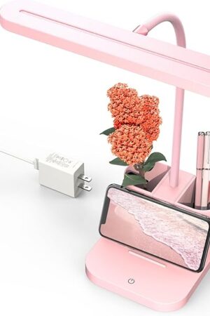 AXX Pink Desk Lamp for Home Office, Cute Table Lights for Bedrooms, Kawaii, Dimmable LED, Flexible Gooseneck, Pen Holder, Touch Control, Room College Dorm Essentials for Teen Girls Kids