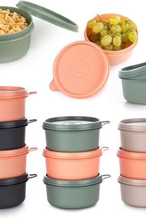 9 oz Small Round Food Storage Containers with Lids Set of 10, Airtight Leakproof Reusable, Plastic To Go Bento Box, Mini Lunch Box, Snack Storage Bowl, for Kitchen, Picnic (10)
