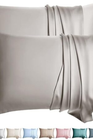 100% Silk Pillow Cases 2 Pack Queen Size Mulberry Silk Pillowcase for Hair and Skin Set of 2 Highest Grade 6A Silk Soft Breathable Cooling with Hidden Zipper, Grey