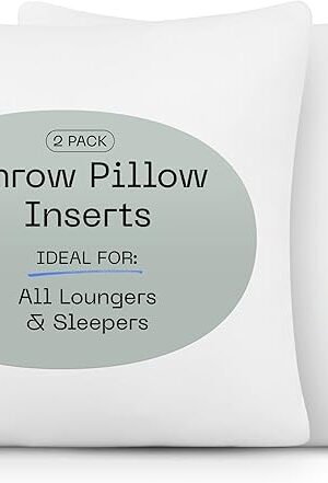 Coop Home Goods Original Adjustable Throw Pillow Inserts, Pack of 2, White, 20x20 Inches, Couch and Decorative Pillows with Memory Foam Fill