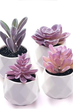 CADNLY Fake Succulent Plant Set - Artificial Desk Plants for Women Desk - Realistic Faux Succulents in Ceramic Pots - Mini Purple Decor for Bedroom Bathroom Office Shelf 4 Pack