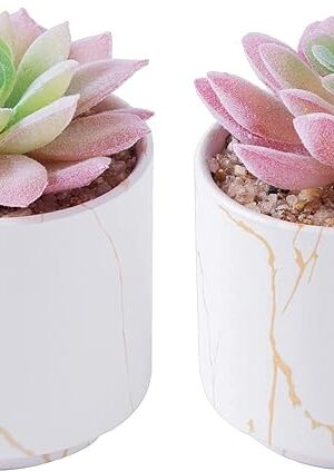 zenmag Succulents Plants Artificial, Mini Fake Succulents in White Ceramic Pots for Desk Livingroom Bathroom and Home Decoration Office Decor for Women Set of 2 Artificial Succulents