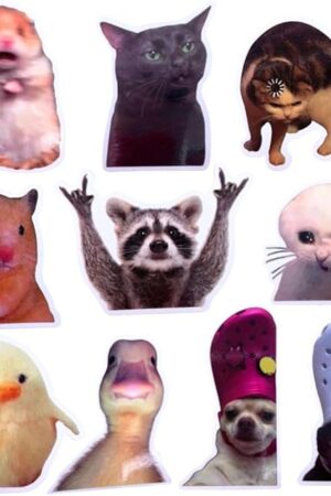 10PC Funny Meme Animals Fridge Magnets, Fun Cute Weird Magnetic Crying Cat Dog Hamster Duck Magnets for Gaming Kitchen Home Decor Bumper School Locker Work for Boys Girls Adult Accessories