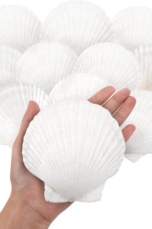 10PCS Large Natural Scallop Shells, 4''-5'' Large Shell for Crafts, DIY Painting, Baking and Beach Wedding Decorations - Large White Seashells Bulk for Ocean Themed Parties and Home Decor