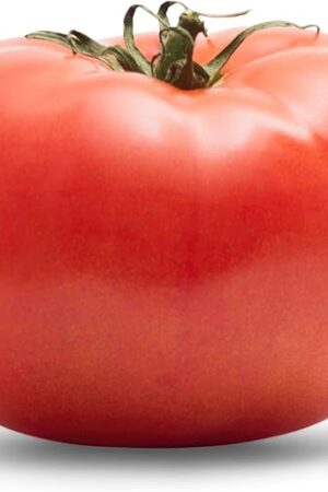 Slicer Tomato