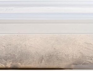 Brod & Taylor Proofing Container With 6L Capacity, Fits Up to 3000 Grams of Dough – Dough Rising Box for Bread, Sourdough & Pizza (Dishwasher Safe, BPA-Free)