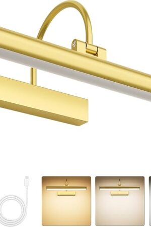 Bridika Picture Light for Wall with Remote, Rechargeable Battery Operated Picture Light, 3 Color Modes and Dimmable Classic Art Lights for Paintings, Gallery, Bedroom, Bathroom with Timer Gold 1