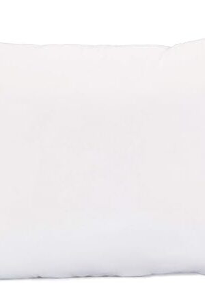 Acanva Fluffy Pillow Insert for Bed Sleeping, Decorative Stuffer Cushion Sham Filler, Queen 20x30 (Pack of 1), White