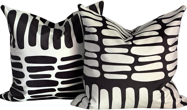 AYAY Decorative Modern Throw Pillow Covers 18x18 Set of 2 – Black and White Throw Pillows for Couch, Bed,Boho Throw Pillow Set, Printed Abstract Velvet Pillows, Washable Indoor Bedroom Pillowcases